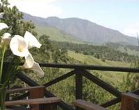 View terrace of the Ranch RANCHO GUARAGUAO - Constanza - Dominican Republic